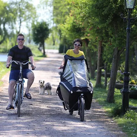 De Ouwe Meulen בית נופש Bleskensgraaf