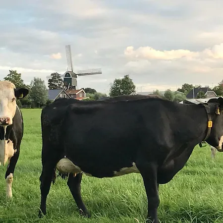 De Ouwe Meulen *
