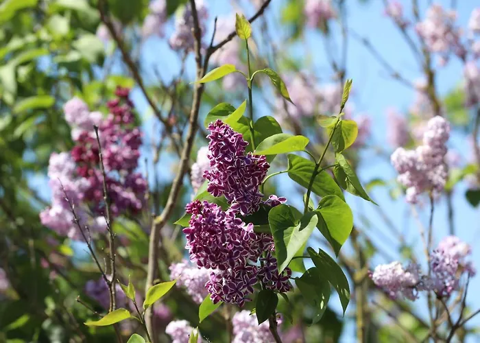 De Ouwe Meulen 別荘 Bleskensgraaf
