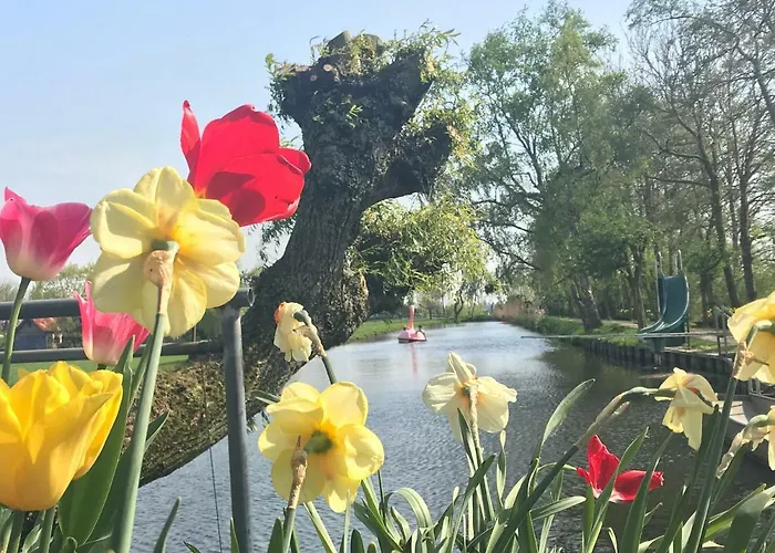 De Ouwe Meulen Ferienhaus